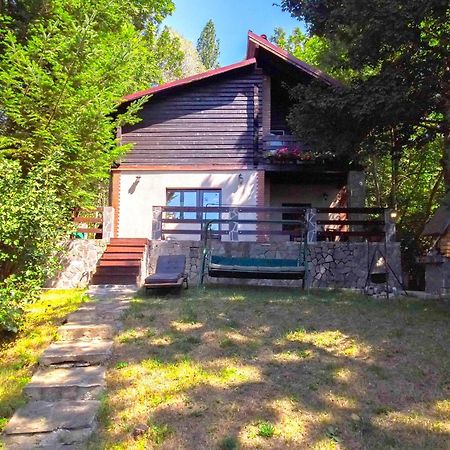 Mountain Family Chalet On Prahova Valley Comarnic Exterior foto