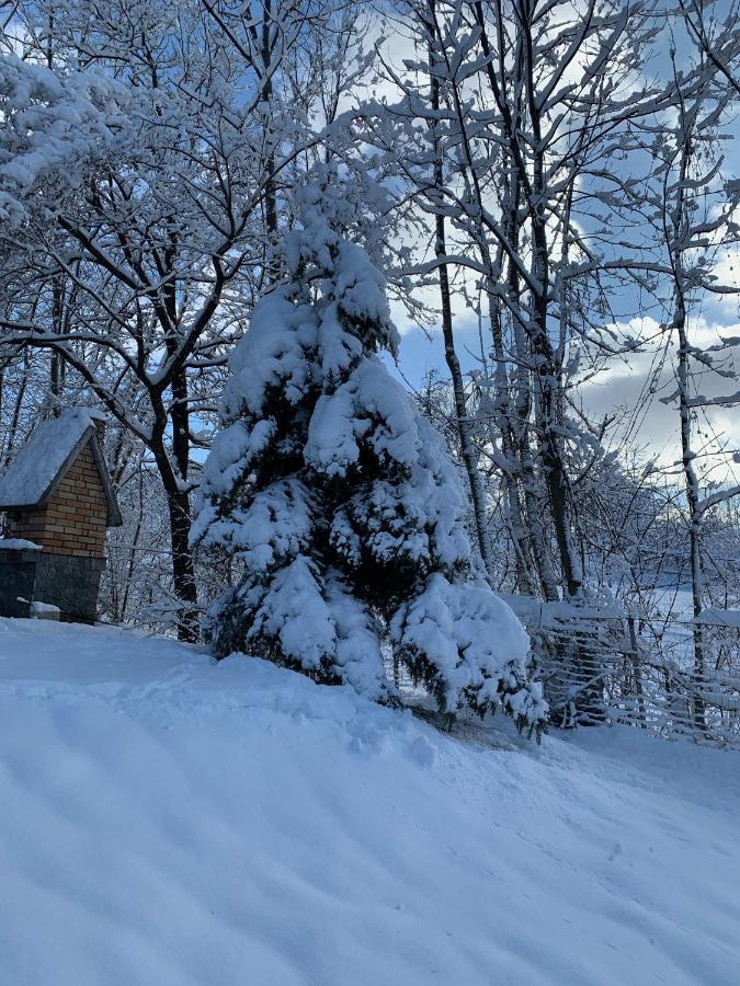 Mountain Family Chalet On Prahova Valley Comarnic Exterior foto