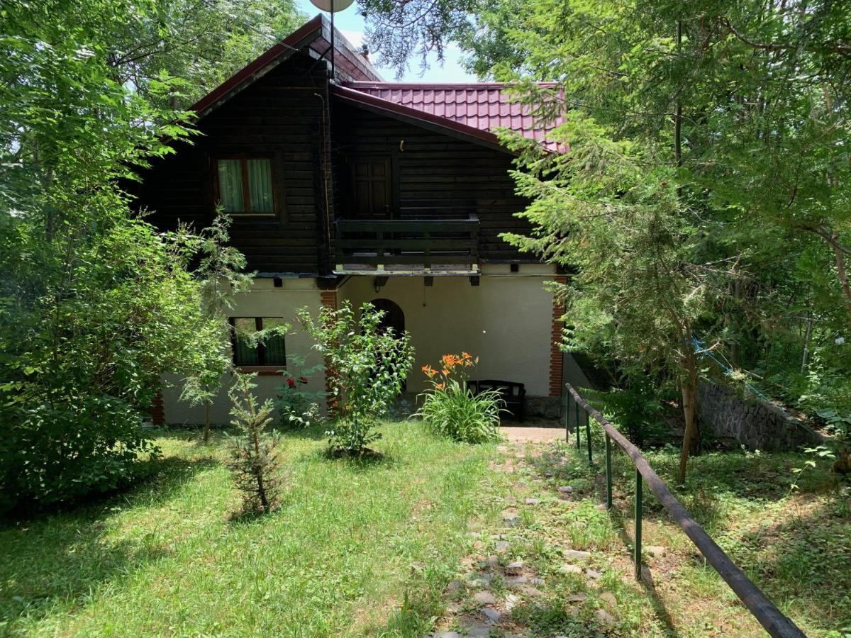 Mountain Family Chalet On Prahova Valley Comarnic Exterior foto