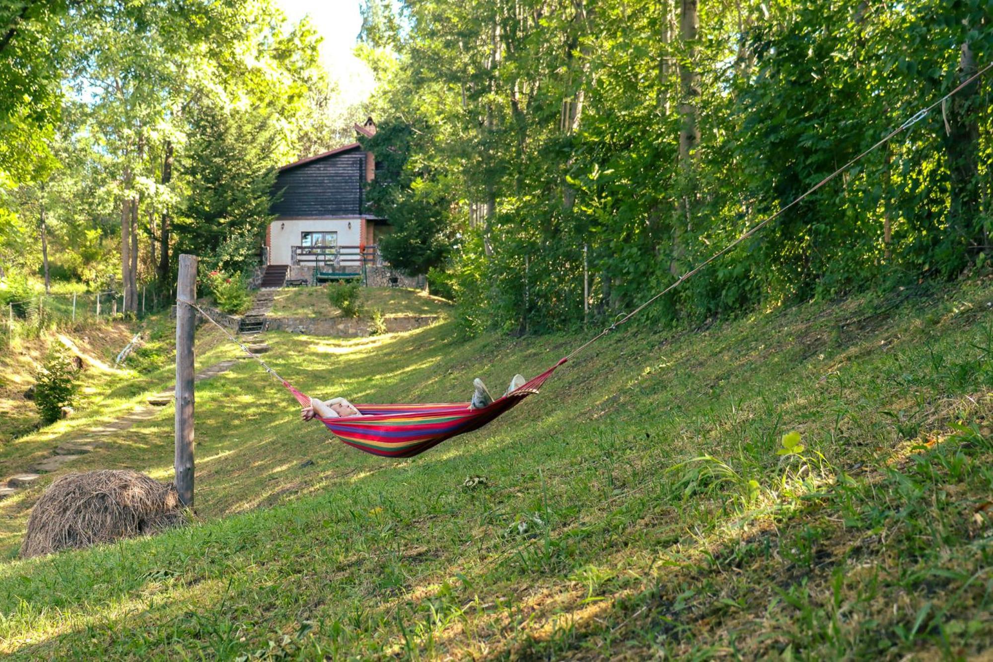Mountain Family Chalet On Prahova Valley Comarnic Exterior foto